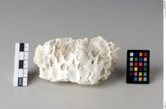 Foto von Smithsonit (NHMW-MIN-Ac807)